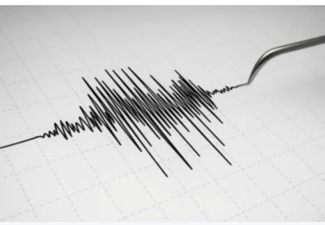 Un fuerte sismo en Chile impactó en una zona de San Juan
